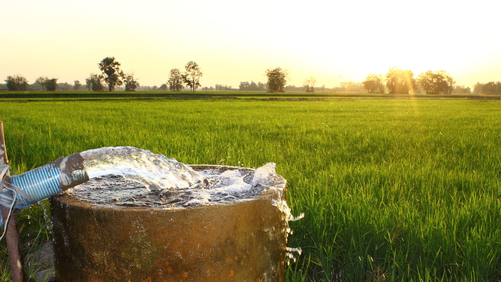 How to Protest a Data Center's Groundwater Permit in Texas